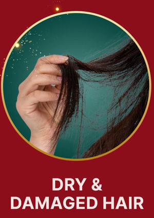 Reverse Dry & Damaged Hair