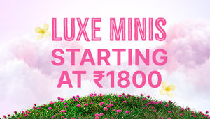 Luxe Minis starting at ?1800