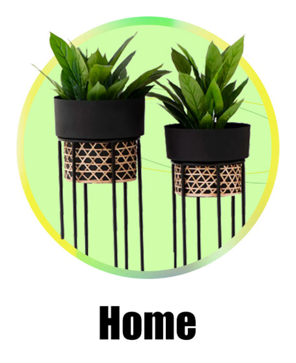 home-lead-ins