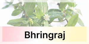 bhingraj