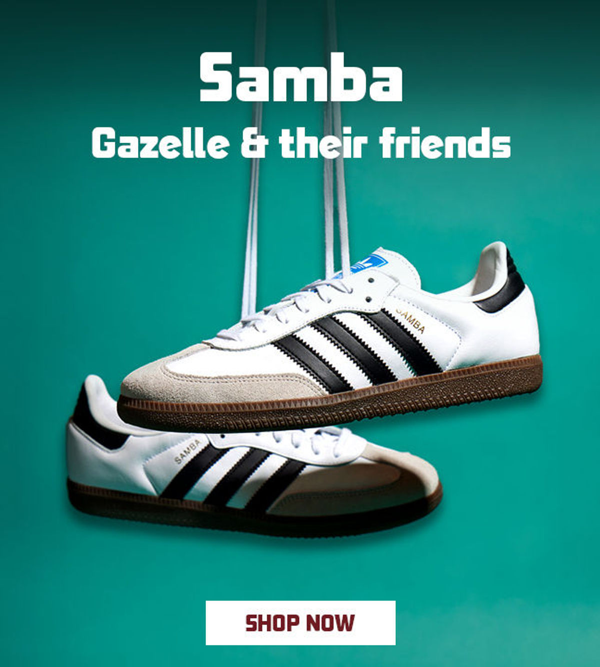 samba-gazelle-their-friends