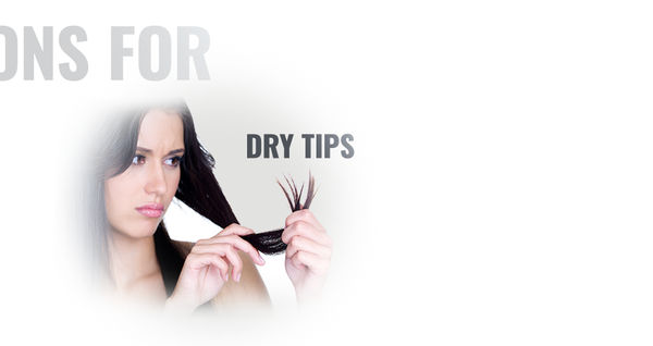 best-products-for-dry-tips-online