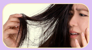 Dry & Damaged Hair
