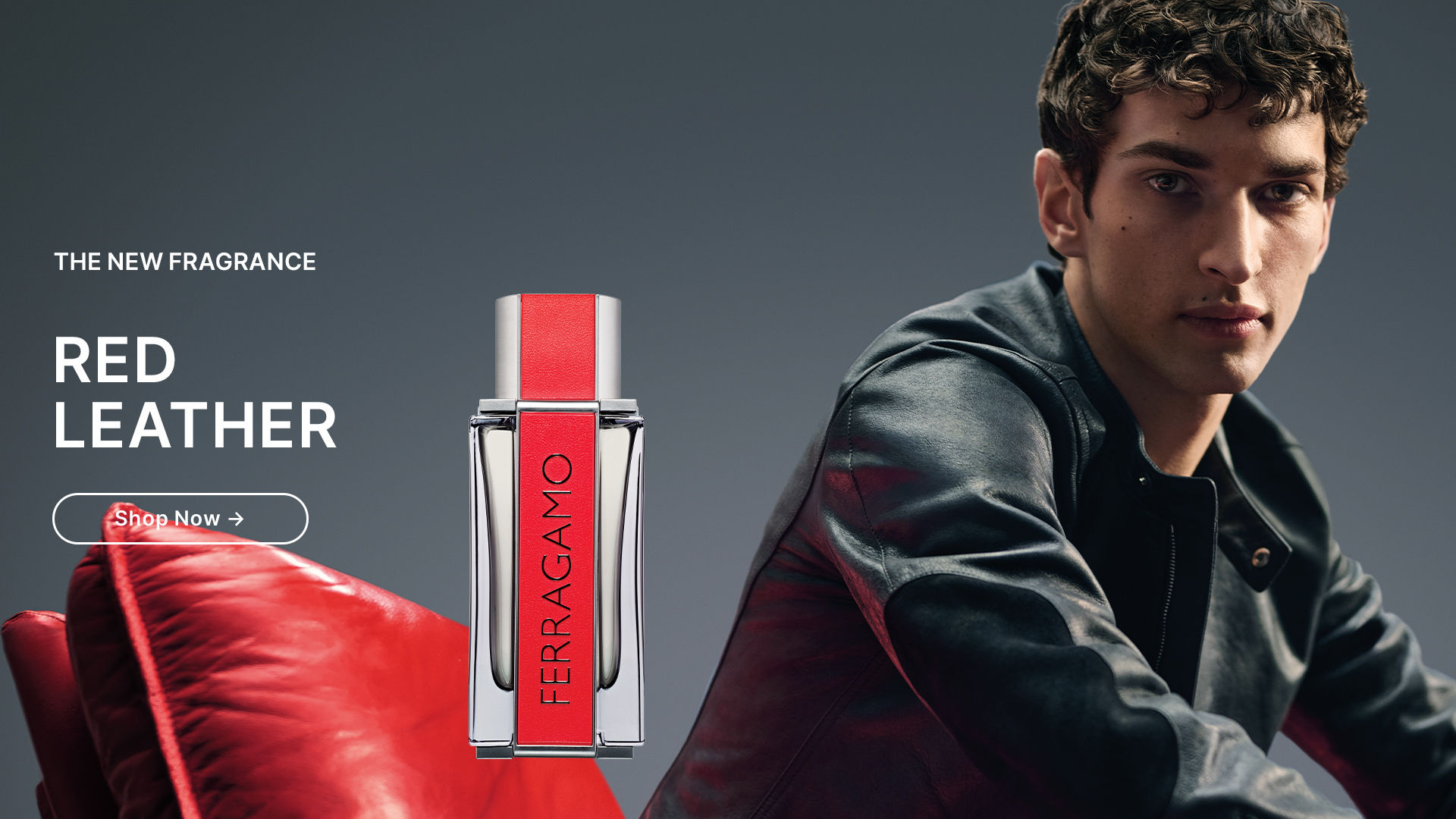 Shop For Genuine Salvatore Ferragamo Products At Best Price Online