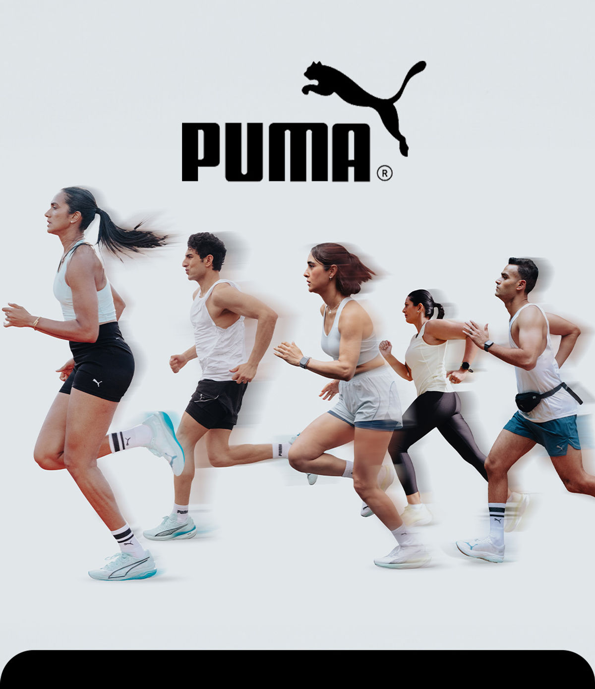 puma