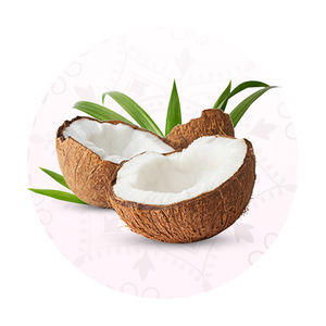 best-homegrown-indian-beauty-products-online/best-coconut-products-online