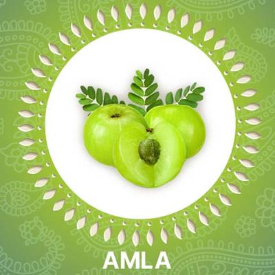 best-homegrown-indian-beauty-products-online/best-amla-products-online