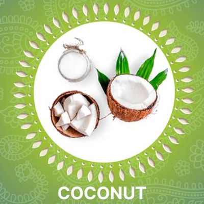 best-homegrown-indian-beauty-products-online/best-coconut-products-online
