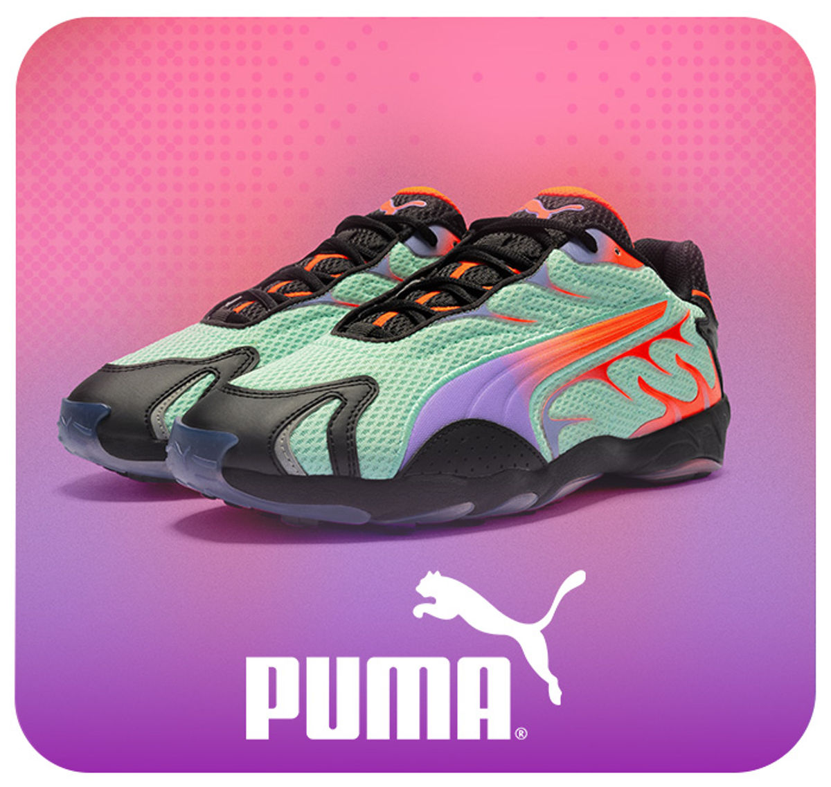 puma