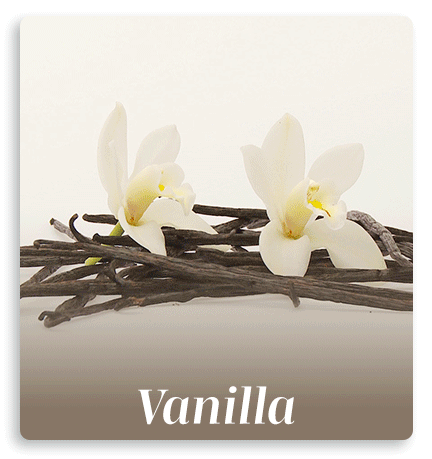 Vanilla