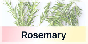 Rosemary