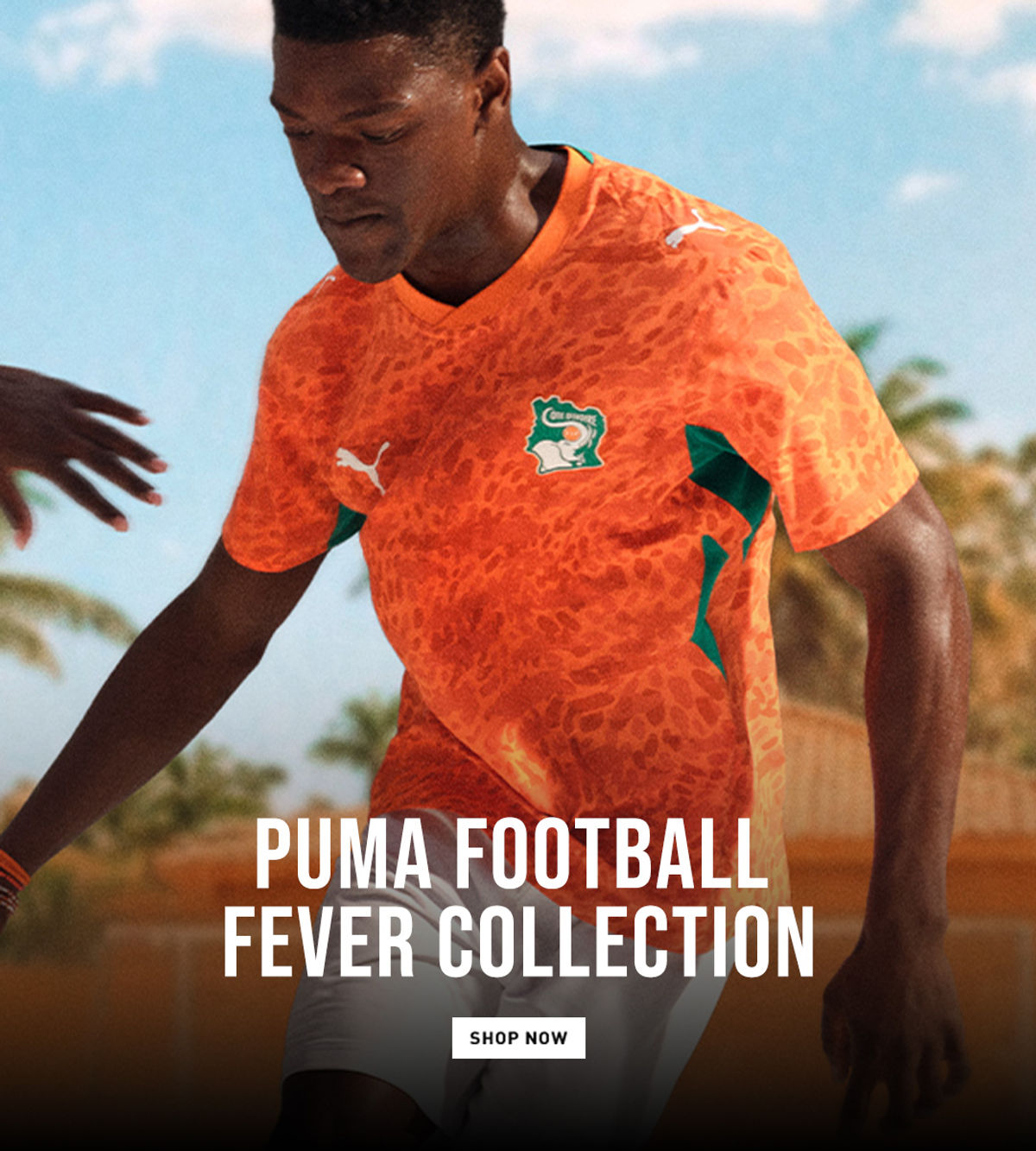 puma