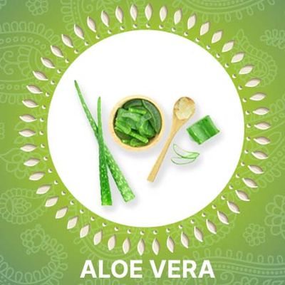best-homegrown-indian-beauty-products-online/best-aloe-vera-products-online