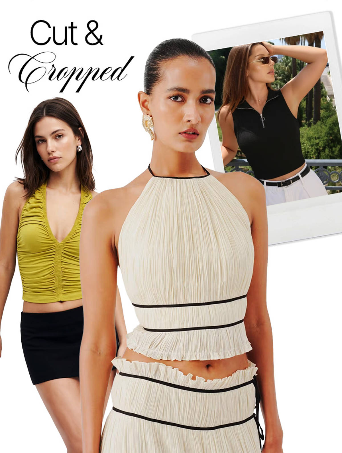 cut-cropped