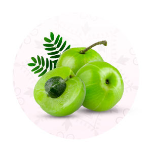 best-homegrown-indian-beauty-products-online/best-amla-products-online