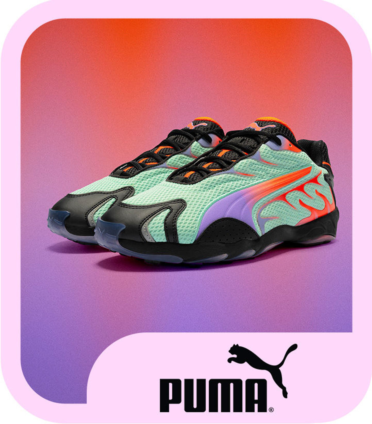 puma